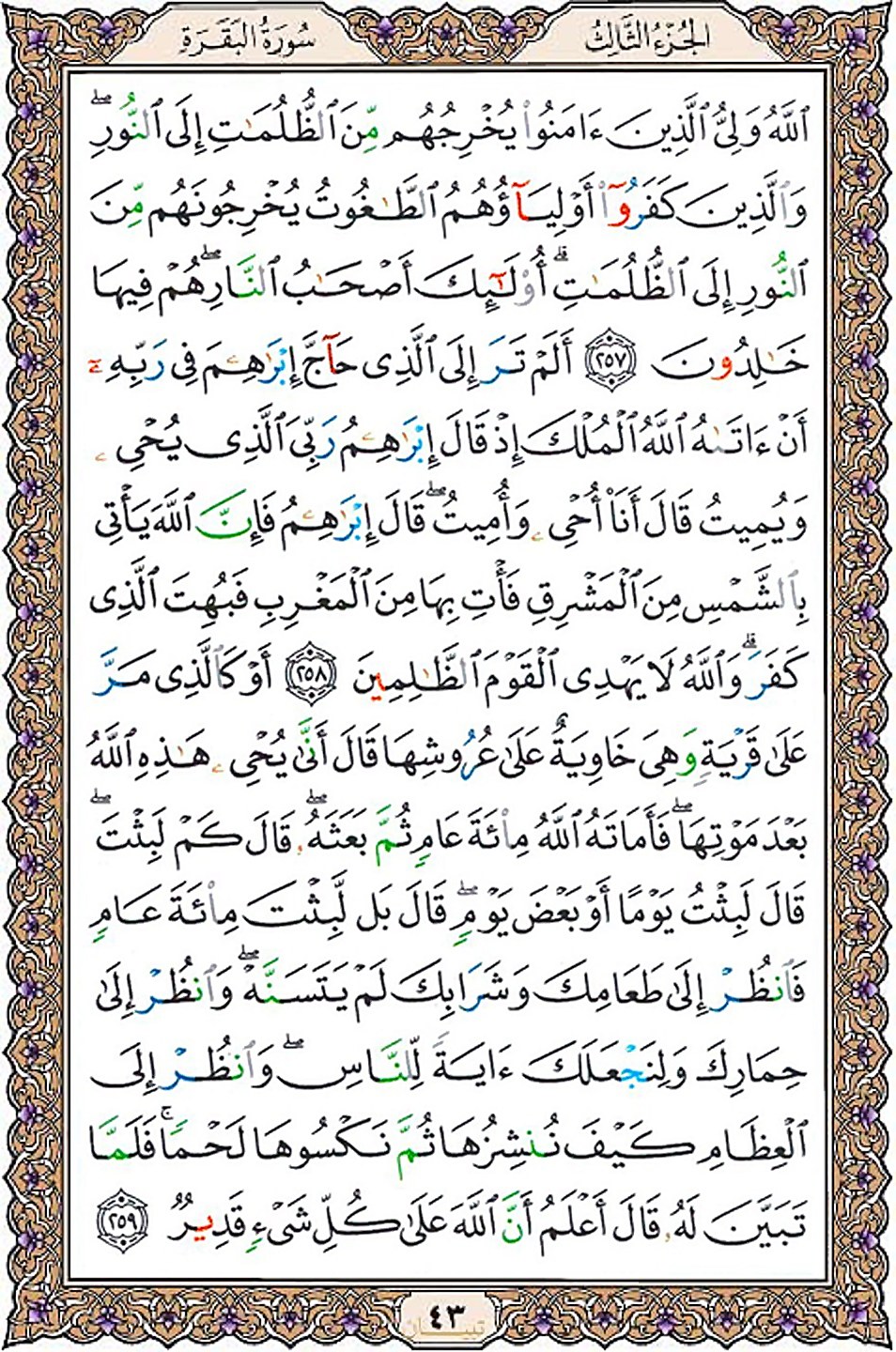 قرآن  عثمان طه با کیفیت بالا صفحه 43