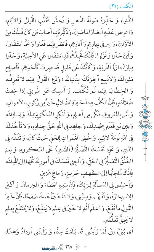 نهج البلاغه عربی مرکز طبع و نشر قرآن کریم صفحه 317