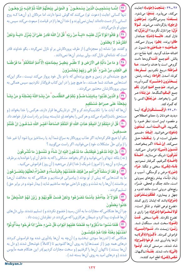 قرآن  بشیر با ترجمه و معنی بعضی از لغات صفحه 132
