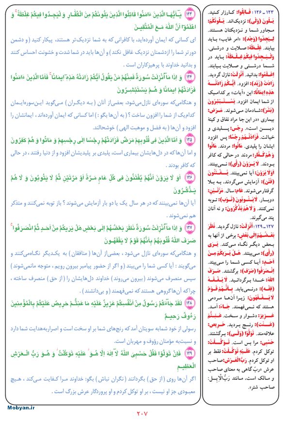 قرآن  بشیر با ترجمه و معنی بعضی از لغات صفحه 207