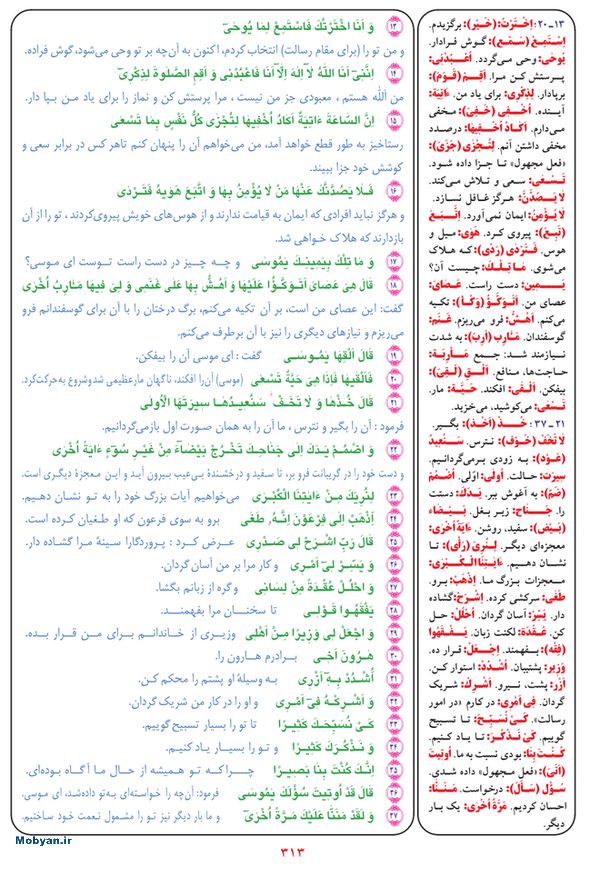قرآن  بشیر با ترجمه و معنی بعضی از لغات صفحه 313