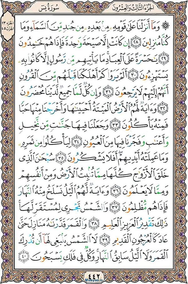 قرآن  عثمان طه با کیفیت بالا صفحه 442