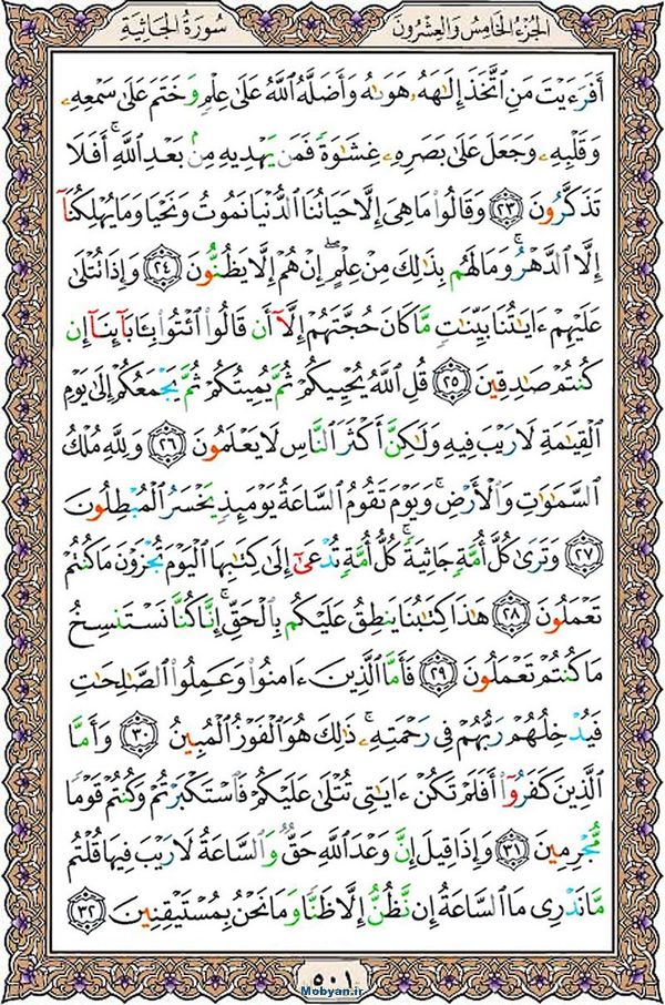 قرآن  عثمان طه با کیفیت بالا صفحه 501