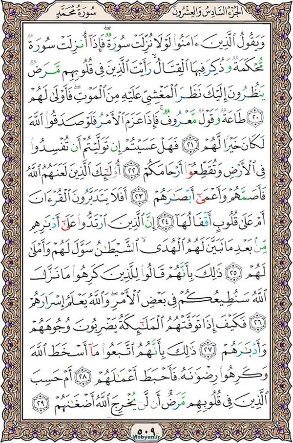 قرآن  عثمان طه با کیفیت بالا صفحه 509