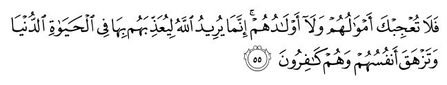 تصاویر آیات قرآن  آیه 1290