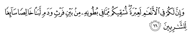 تصاویر آیات قرآن  آیه 1967