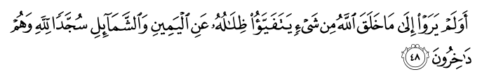 تصاویر آیات قرآن  آیه 1949