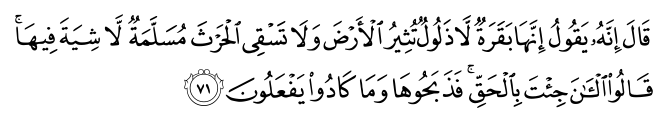 تصاویر آیات قرآن  آیه 78