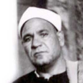 استاد محمد ابو زید